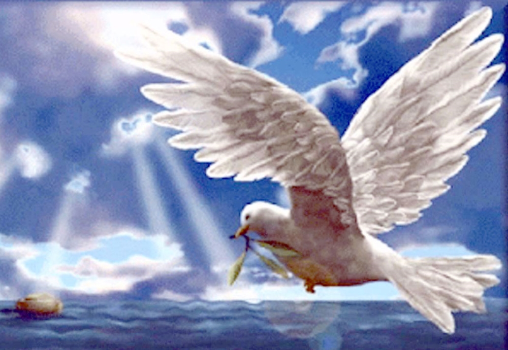 Colomba Della Pace Disegno Da Colorare Colomba Della Pace Disegni Da Colorare Simboli Di Pace